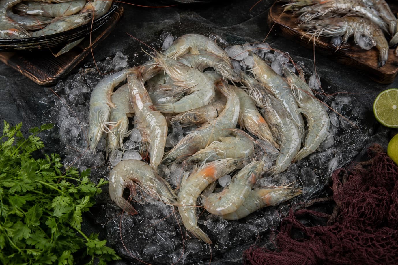Export vs Domestic Market: Which Creates Greater Long-Term Stability for India's Shrimp Industry?