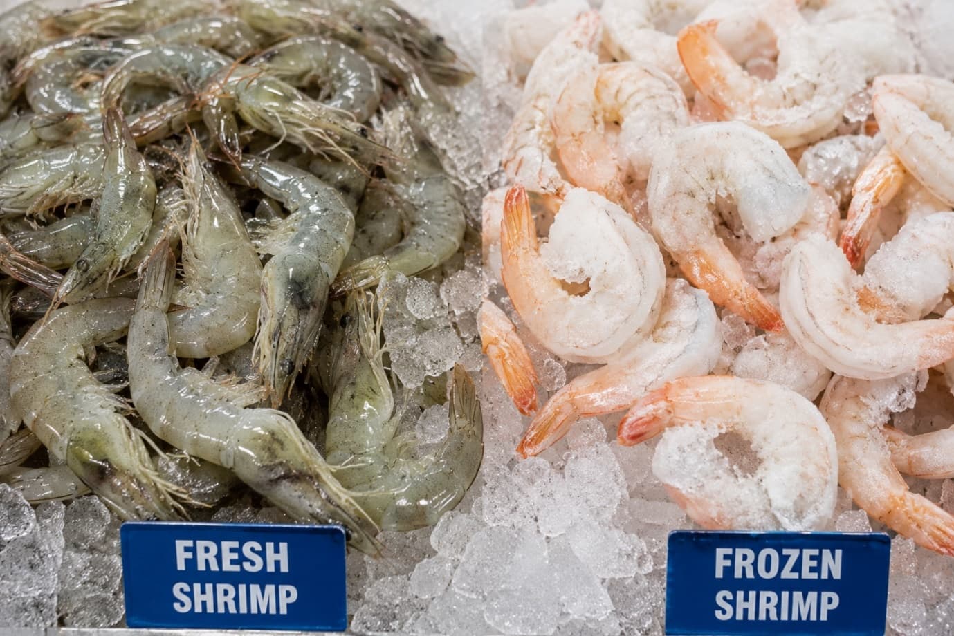 Fresh vs Frozen Shrimp: Which One Is Actually Better?