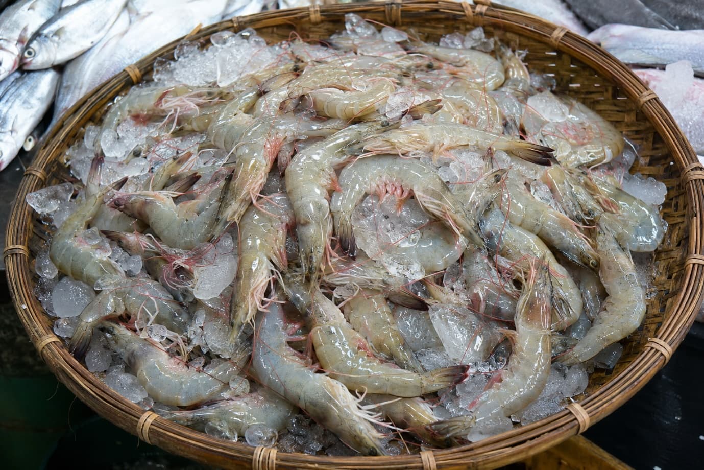 Why India Produces Shrimp for the World but Eats So Little at Home